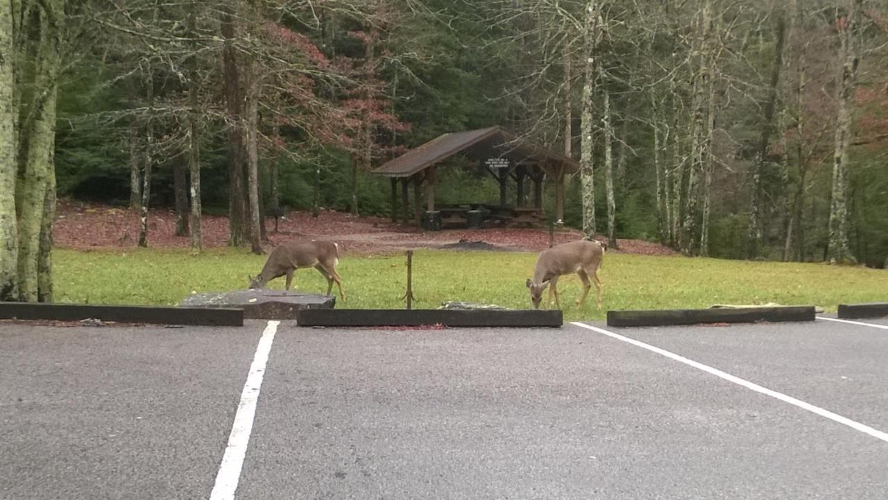 Grandview Experience Lodge Spencer Luaran gambar